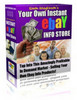 Thumbnail Do You Have An eBay Store? With MRR