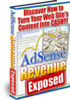Thumbnail Adsense Revenue Exposed With MRR