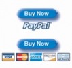 Thumbnail Create Paypal Buy Now Button With PLR Thumbnail Create Paypal Buy Now Button With PLR