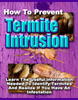 Thumbnail How To Prevent Termite Intrusion With PLR