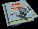 Thumbnail 15 Digital Photography Plr Articles