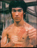 Thumbnail 5 Martial Arts Ebooks - Bruce Lee