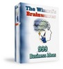 Thumbnail The Wizards Brainwaves 999 Business Ideas With MRR