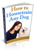 Thumbnail How To Housetrain Any Dog Thumbnail How To Housetrain Any Dog