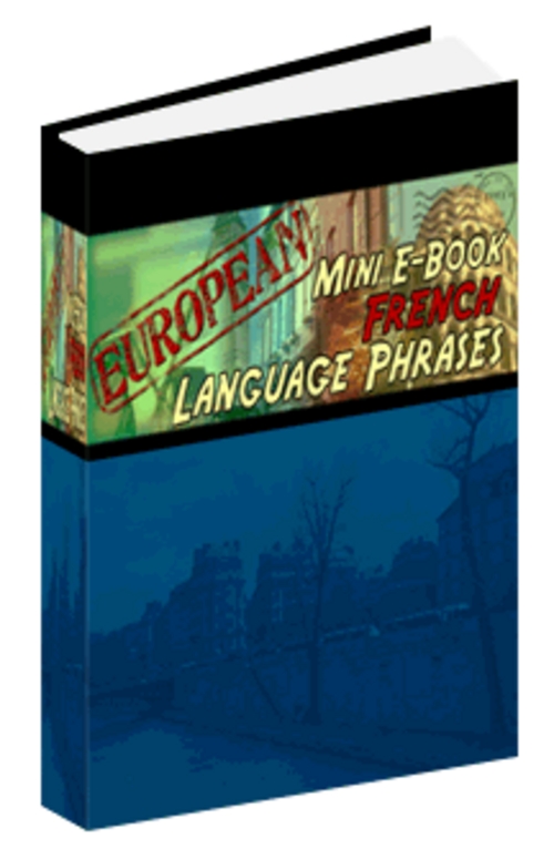 Product picture Language: French Phrases Mini Ebook With MRR