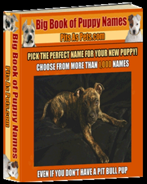 Product picture Big Book Of Puppy Names