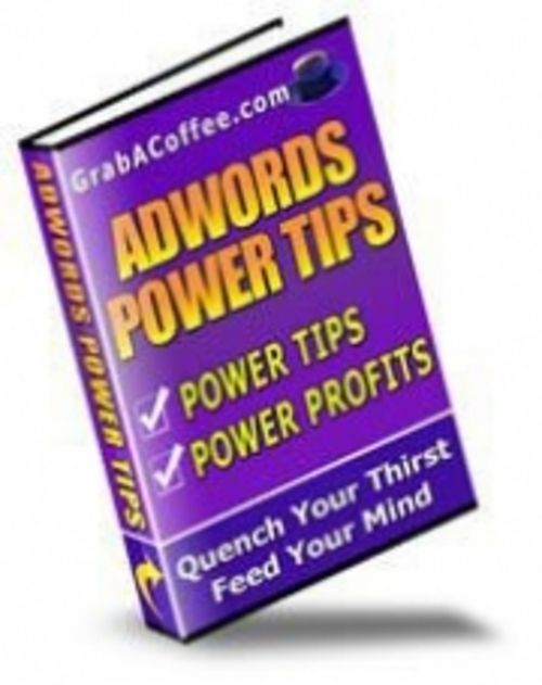 Product picture Adwords Power Tips With MRR