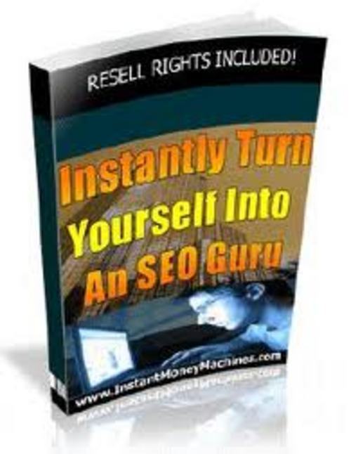 Product picture Instantly Turn Yourself Into An SEO Guru With MRR