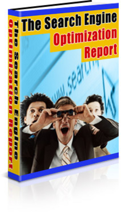Product picture The Search Engine Optimization Report With MRR