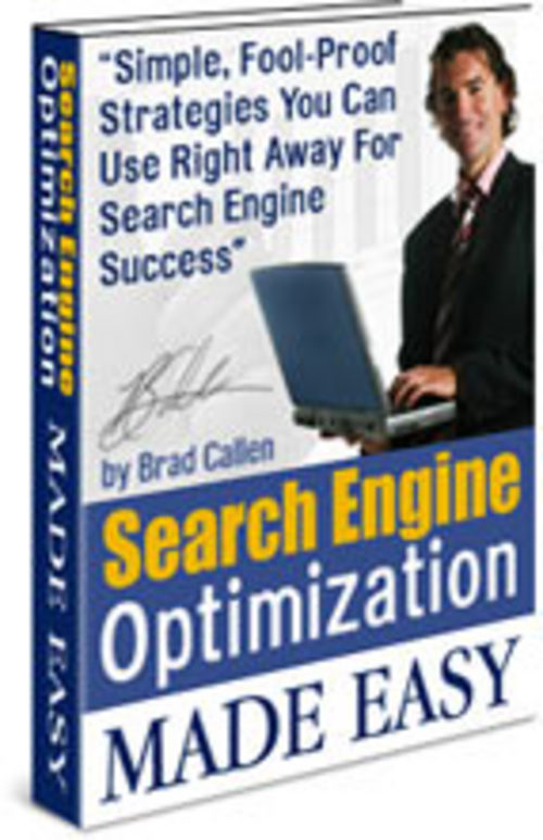 Product picture Search Engine Optimization MADE EASY With MRR