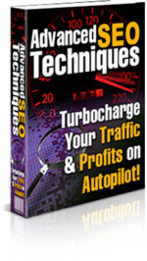 Product picture Advance Seo Techniques With PLR
