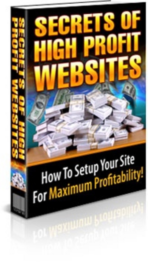 Product picture Secrets Of High Profit Website With PLR