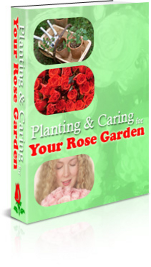 Product picture Planting & Caring for Your Rose Garden With MRR