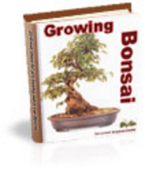 Product picture Growing Bonsai With MRR