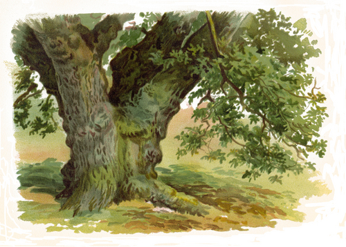 Product picture Trees And How To Paint Them In Watercolours