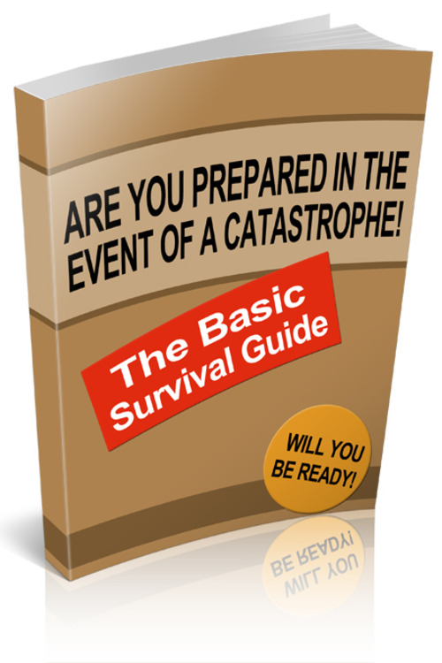 Product picture The Basic Survival Guide 
