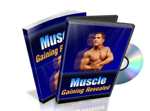 Product picture Muscle Gaining Revealed MRR Packages