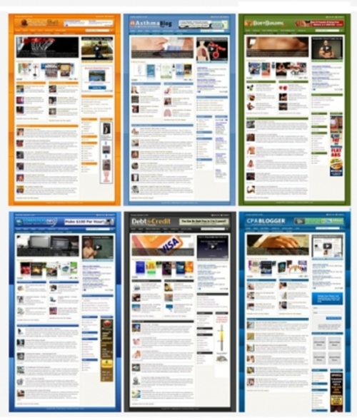 Product picture Premature Ejaculation Niche Blog